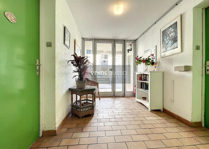 Avec Terrasse, Proche Thermes Et Centre, Animaux Acceptes, Wifi Inclus, - Fr-1-451-66 Διαμέρισμα *
