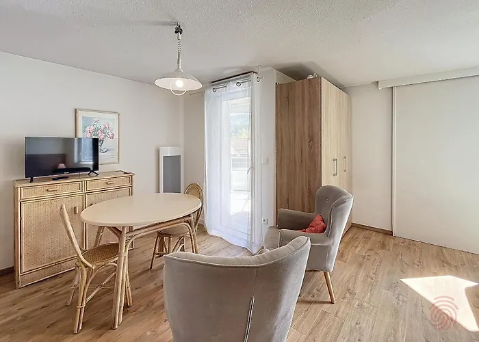 Avec Terrasse, Proche Thermes Et Centre, Animaux Acceptes, Wifi Inclus, - Fr-1-451-66
