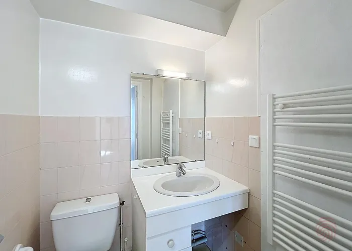 Avec Terrasse, Proche Thermes Et Centre, Animaux Acceptes, Wifi Inclus, - Fr-1-451-66